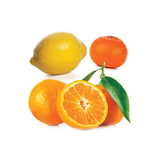 Citrus Bliss (povzbudzujúca zmes) Citrus Bliss (povzbudzujúca zmes)
