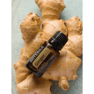 Ginger (Zázvor) Ginger (Zázvor)