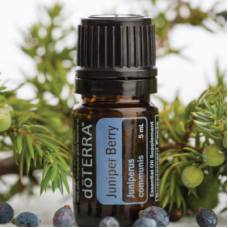 Juniper Berry  (borievka)