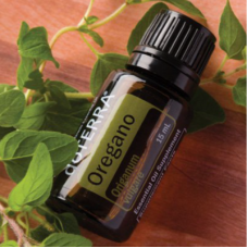 Oregano