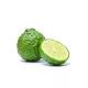 Bergamot