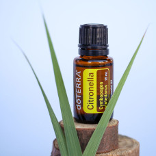 Citronella