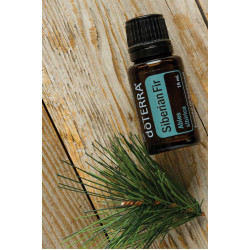 Siberian Fir