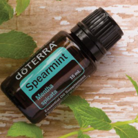 Spearmint (mäta klasnatá)