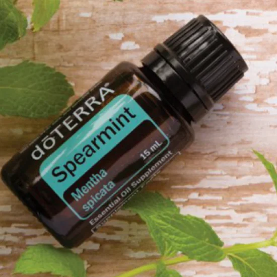 Spearmint (mäta klasnatá)